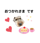 ウェルシュテリア ♡ジェリーさんの1日⑦（個別スタンプ：16）