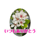 花とねこからの励まし（個別スタンプ：2）