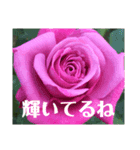 花とねこからの励まし（個別スタンプ：3）