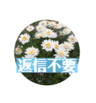 花とねこからの励まし（個別スタンプ：6）
