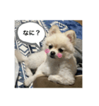 ラミちゃん！（個別スタンプ：1）