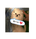 ラミちゃん！（個別スタンプ：3）