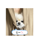 ラミちゃん！（個別スタンプ：4）