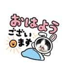プリンちゃん4（個別スタンプ：1）