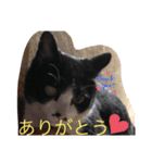 プリンちゃん4（個別スタンプ：6）