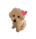 animal’s life（個別スタンプ：2）