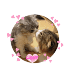 ねこちゃんスタンプNo.2（個別スタンプ：3）