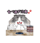にゃんとも愉快な仲間たち②（個別スタンプ：13）