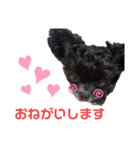 ヨーチーこてつ2（個別スタンプ：10）