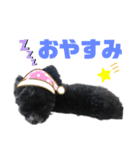 ヨーチーこてつ2（個別スタンプ：11）