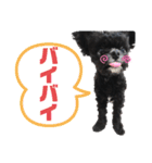 ヨーチーこてつ2（個別スタンプ：14）