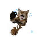 吾輩は猫にゃん。（個別スタンプ：11）