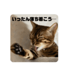 吾輩は猫にゃん。（個別スタンプ：19）