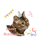吾輩は猫にゃん。（個別スタンプ：24）
