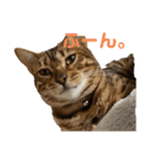 吾輩は猫にゃん。（個別スタンプ：32）