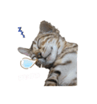 吾輩は猫にゃん。（個別スタンプ：38）