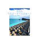 ウチナー島くぅとぅば（個別スタンプ：4）