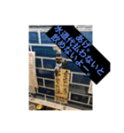 ウチナー島くぅとぅば（個別スタンプ：8）