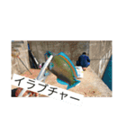 ウチナー島くぅとぅば（個別スタンプ：11）
