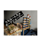 ウチナー島くぅとぅば（個別スタンプ：12）