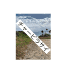 ウチナー島くぅとぅば（個別スタンプ：16）