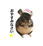 とろろの使えるスタンプ【敬語】（個別スタンプ：8）