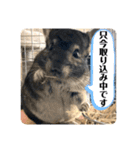とろろの使えるスタンプ【敬語】（個別スタンプ：14）