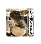 とろろの使えるスタンプ【敬語】（個別スタンプ：23）