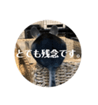 とろろの使えるスタンプ【敬語】（個別スタンプ：24）