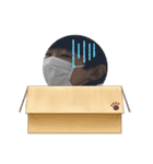 ウチらしか勝たん！！よ！！（個別スタンプ：4）