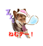 イヌの気持ちスタンプ！（個別スタンプ：6）