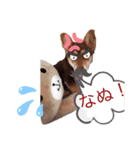 イヌの気持ちスタンプ！（個別スタンプ：7）