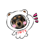 C＆Aの日常（個別スタンプ：4）
