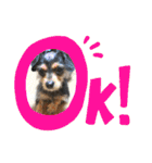C＆Aの日常（個別スタンプ：10）