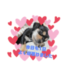 C＆Aの日常（個別スタンプ：12）