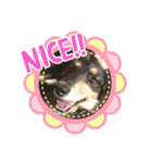 C＆Aの日常（個別スタンプ：19）