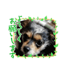 C＆Aの日常（個別スタンプ：25）