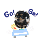 C＆Aの日常（個別スタンプ：27）