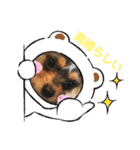 C＆Aの日常（個別スタンプ：31）