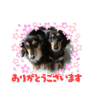 C＆Aの日常（個別スタンプ：39）