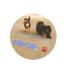 C＆Aの日常（個別スタンプ：40）