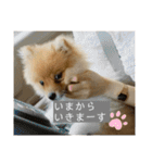 ぽたちゃんまん（個別スタンプ：4）