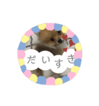 ぽたちゃんまん（個別スタンプ：11）