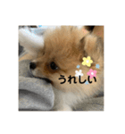 ぽたちゃんまん（個別スタンプ：13）