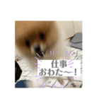 ぽたちゃんまん（個別スタンプ：15）
