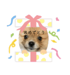 ぽたちゃんまん（個別スタンプ：20）