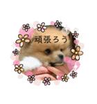 ぽたちゃんまん（個別スタンプ：23）