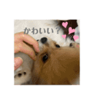 ぽたちゃんまん（個別スタンプ：24）
