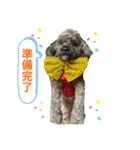 うちのころすけ（個別スタンプ：4）