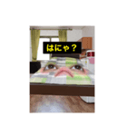mayu.02（個別スタンプ：5）